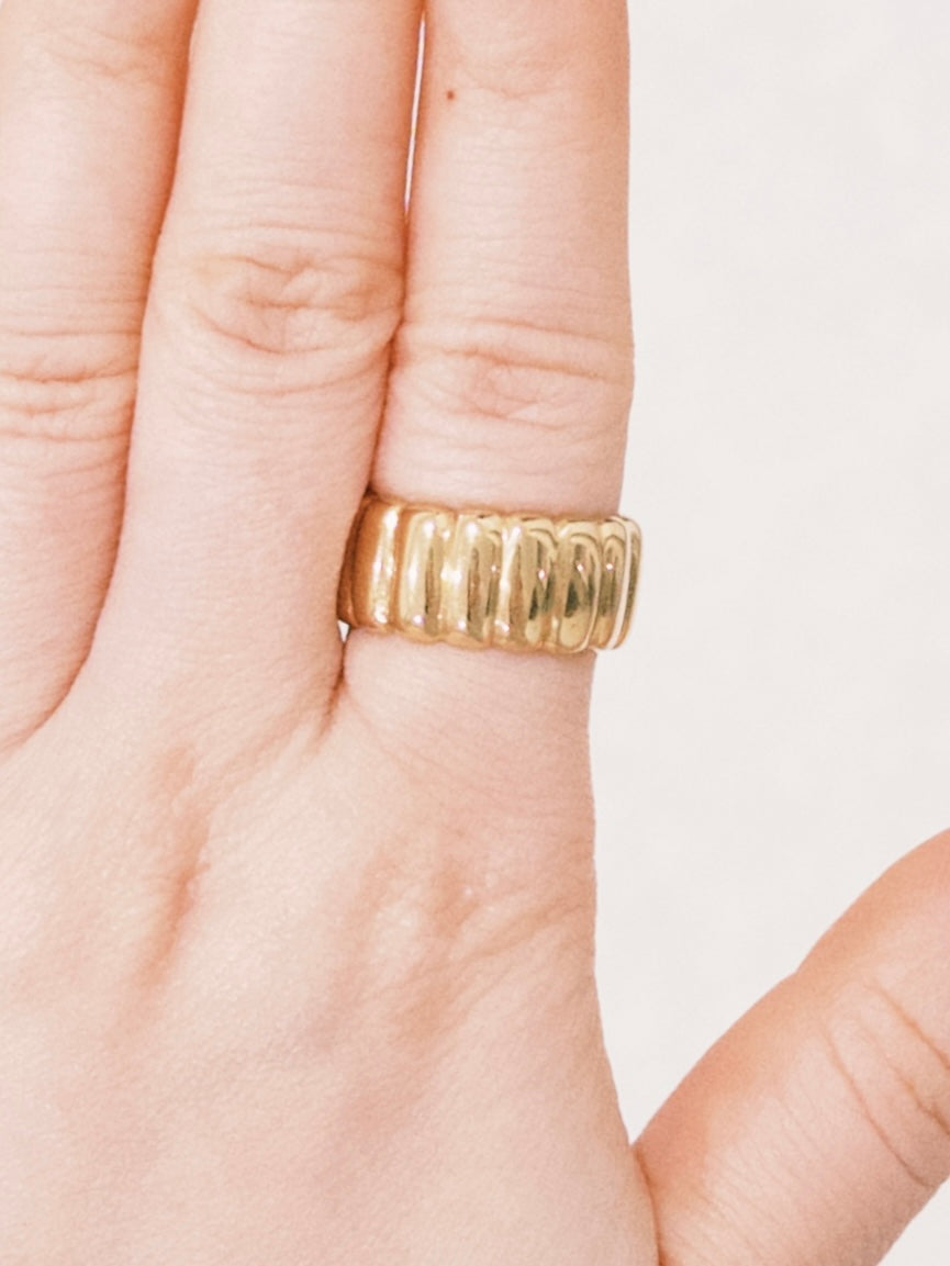 The Arlo Ring