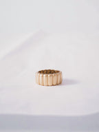 The Arlo Ring