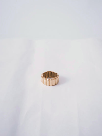 The Arlo Ring