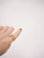 The Arlo Ring