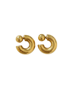 Bold Loop Earrings